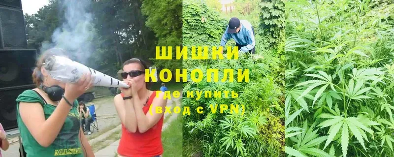 blacksprut ссылка  купить  цена  Данилов  Шишки марихуана VHQ 